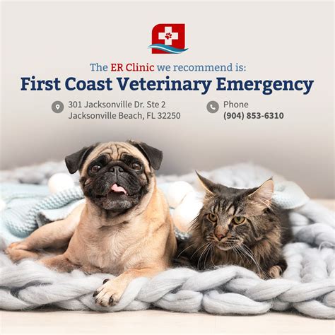Birch island vet - Appointment info and how to save on vet costs at Birch Island Veterinary Center, Birch Island Veterinary Center is an animal hospital and primary care veterinarian clinic servicing pet owners in Jacksonville, FL..